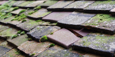 Moss Bank roof repair costs